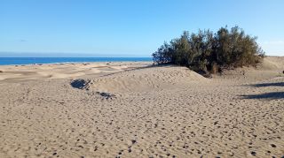 GC-Dunas de Maspalomas sunset 2026-009.jpg